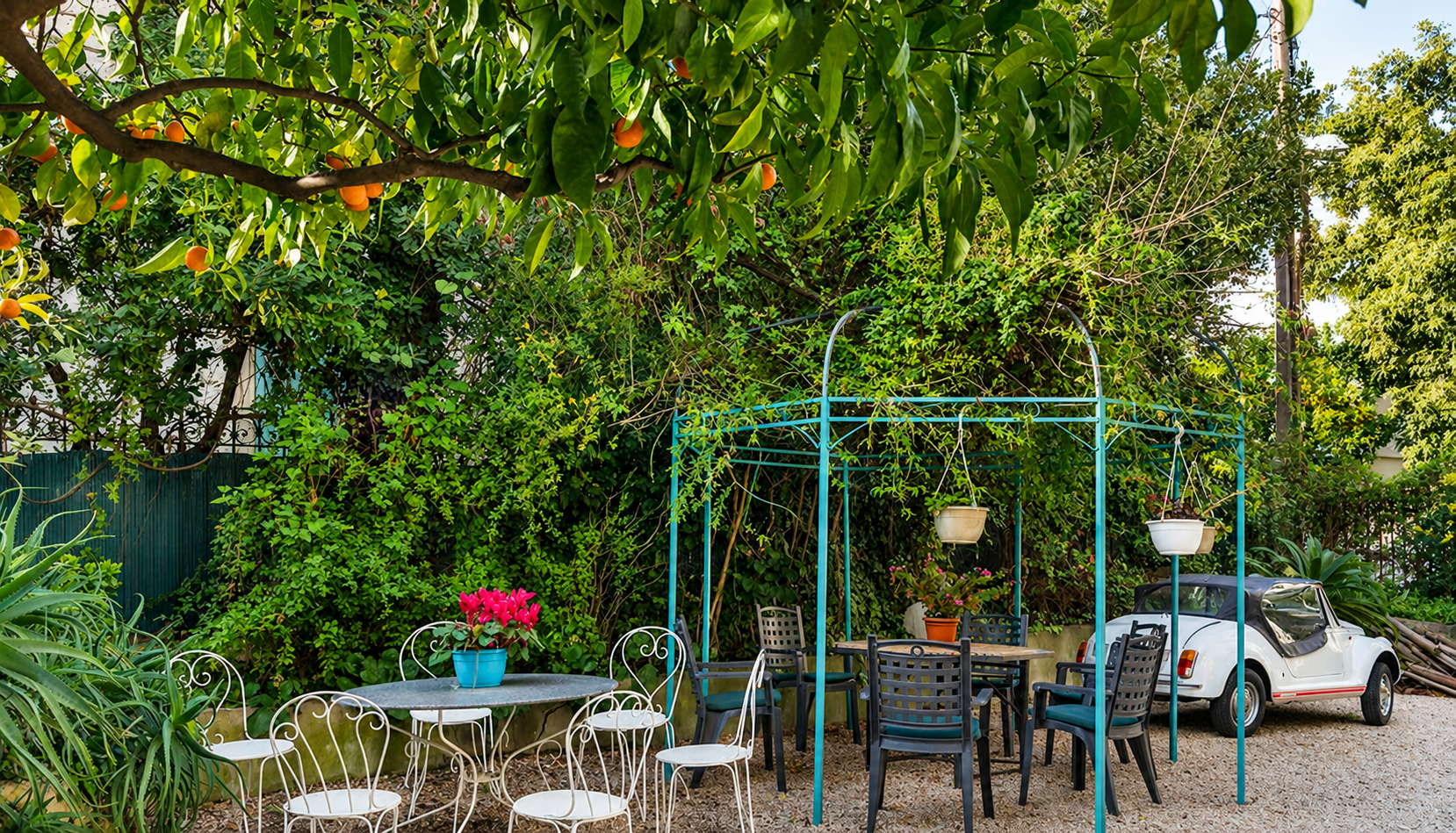 Garden